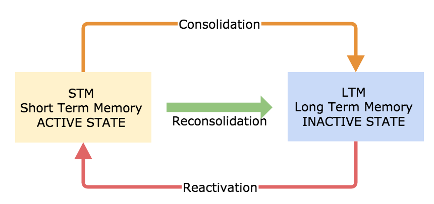 Memory consolidation